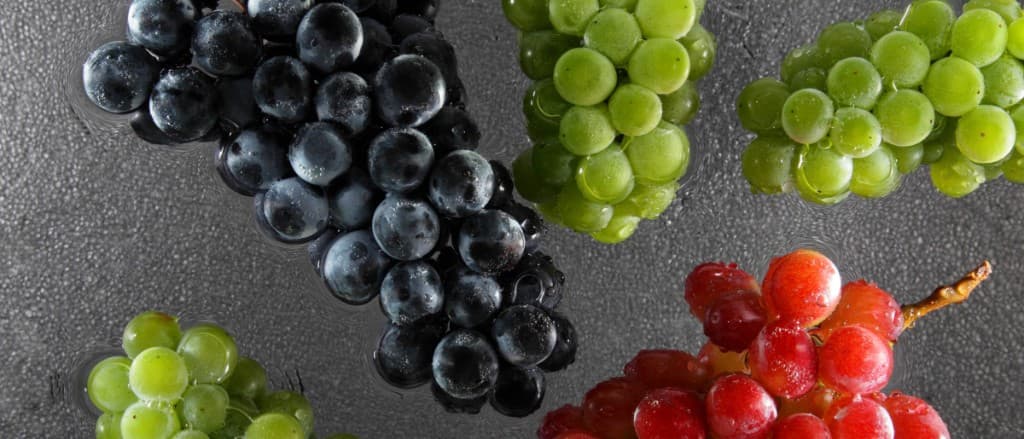 Raisins italiens — cépages blancs, rouges et noirs